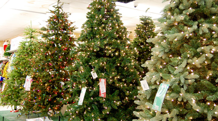 A display of artificial Christmas trees